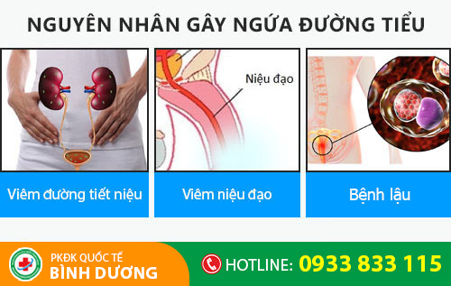 Ngứa đường tiểu là bệnh gì?