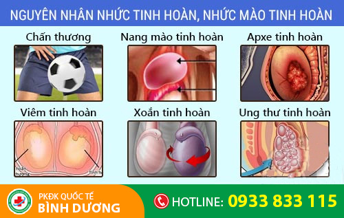 Nguyên nhân nhức tinh hoàn, nhức mào tinh hoàn