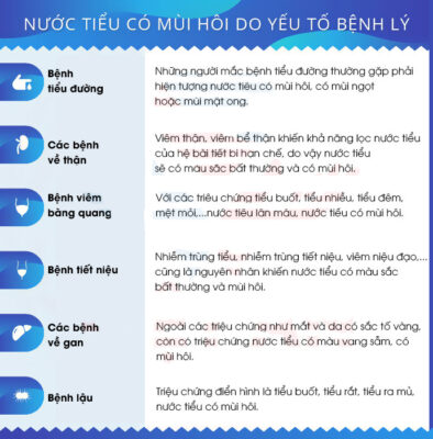 tai sao nuoc tieu co mui hoi do yeu to benh ly