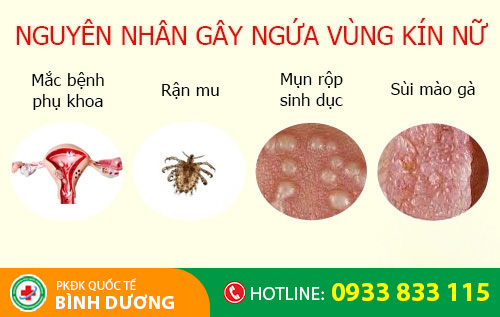 Các nguyên nhân gây ngứa vùng kín nữ