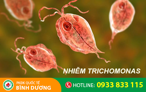 trùng roi trichomonas