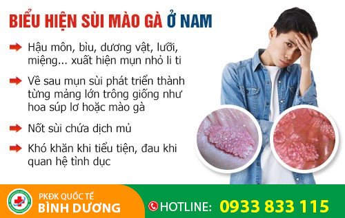 Hình ảnh sùi mào gà ở lỗ niệu đạo nam